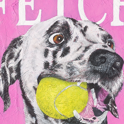FETCH- PRINT PLACEHOLDER