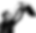 setter foreground.png
