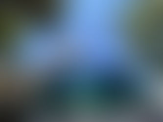 FCM around the world