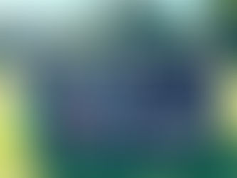 1.Turnier des FCM - Gänserndorf 2025