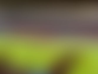 Ländermatch Schweden 2023