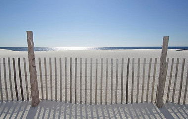sand-fence-on-beach-nine-ok.jpg