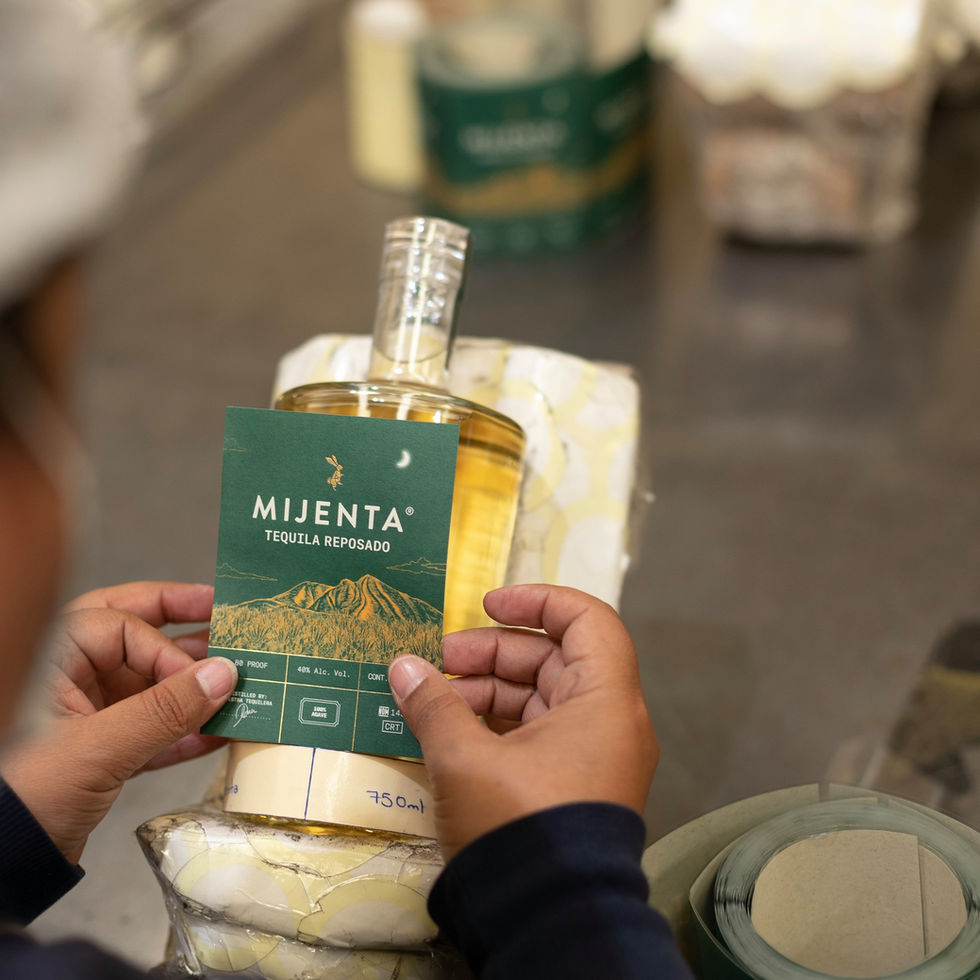 245419564_392901095861635_8200371918979133670_n