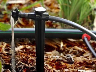 Why You Should Choose Drip Irrigation for Your Home