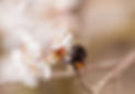 shutterstock_599727476.jpg