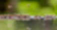 shutterstock_1989125141.jpg