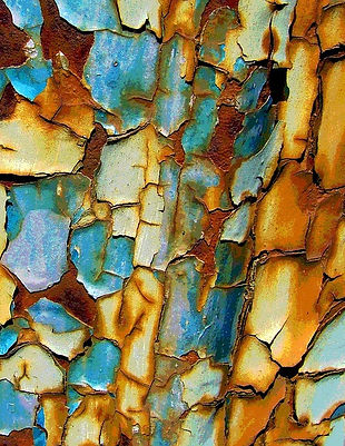 Problemas comunes de la humedad.jpg