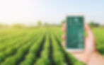 Ag Tech Solutions, IT Agriculture Automation Solutions, PLC SCADA System Administration, Enterprise Industrial Networking IT