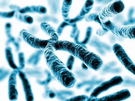 The impact of genetics on the various causes of Dementia