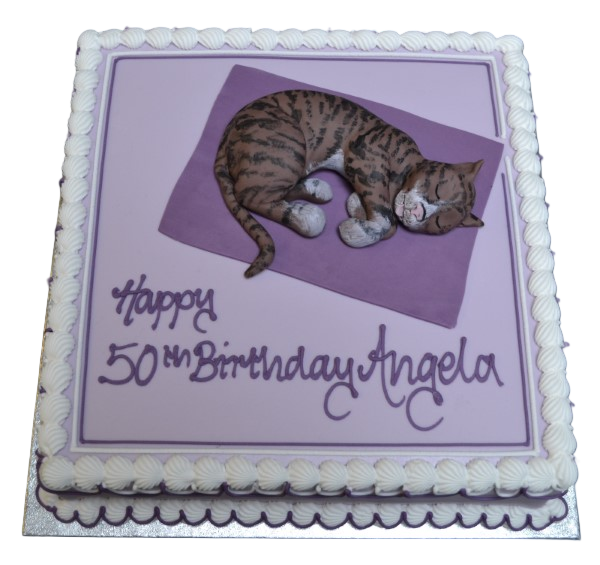 Adorable cat-themed square cake with intricate details perfect for a special celebration.