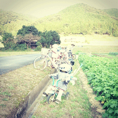 寒田地区の案山子2