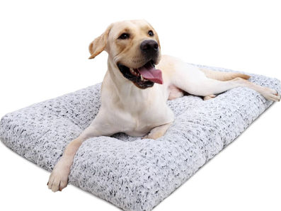 Get your furry fundraising hat on! Here we go