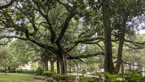 Savannah, Georgia - Part One