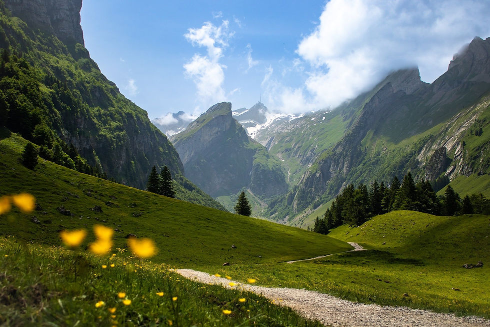 k_michels-alps-10445555_1920.jpg
