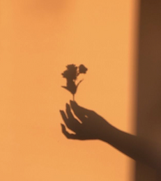 Screenshot 2025-02-09 at 22.20.57.png