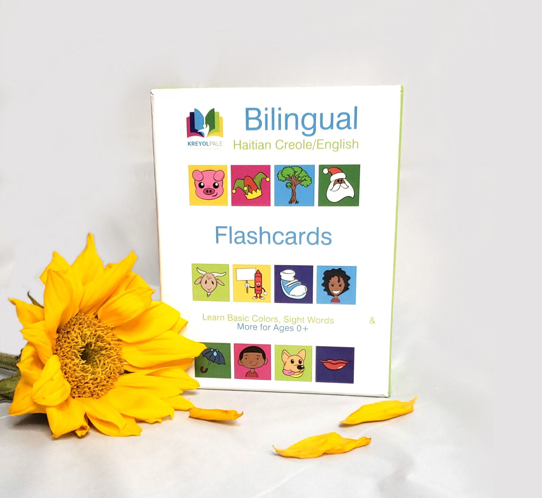 Flash Cards
