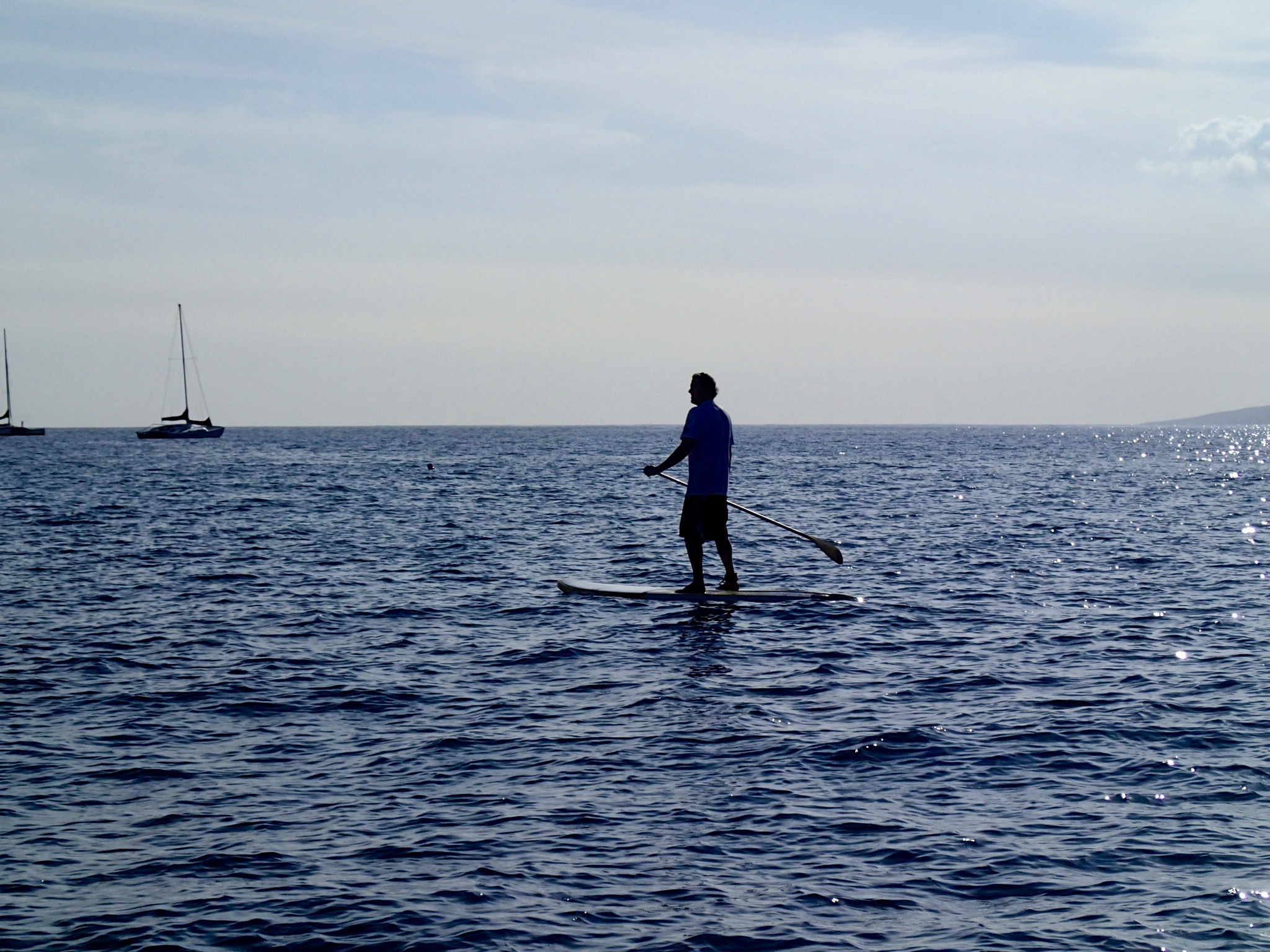 SURF