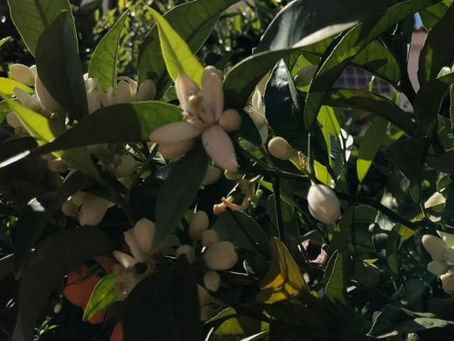 Dora En Francais Saison 1 Torrent !!HOT!!