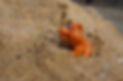 2021-03-20 13.41.09.jpg