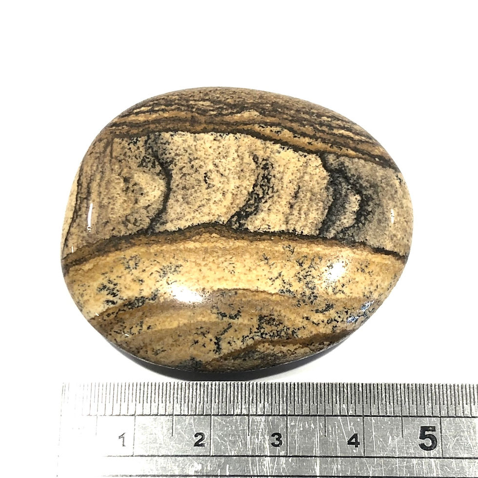 Thumbnail: Picture Jasper Palm Stone