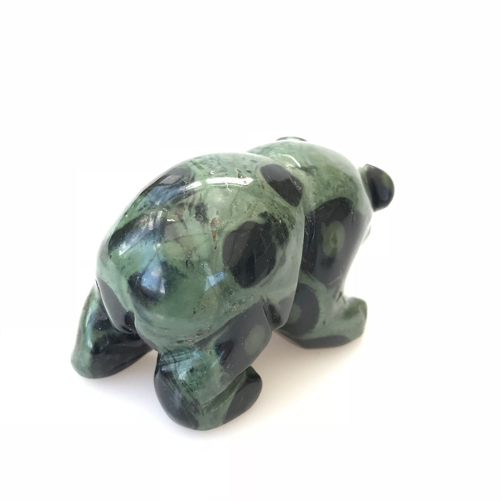 Thumbnail: Kambaba Jasper Bear Catches Fish
