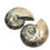 Thumbnail: Ammonite Pair ‘Desmoceras’