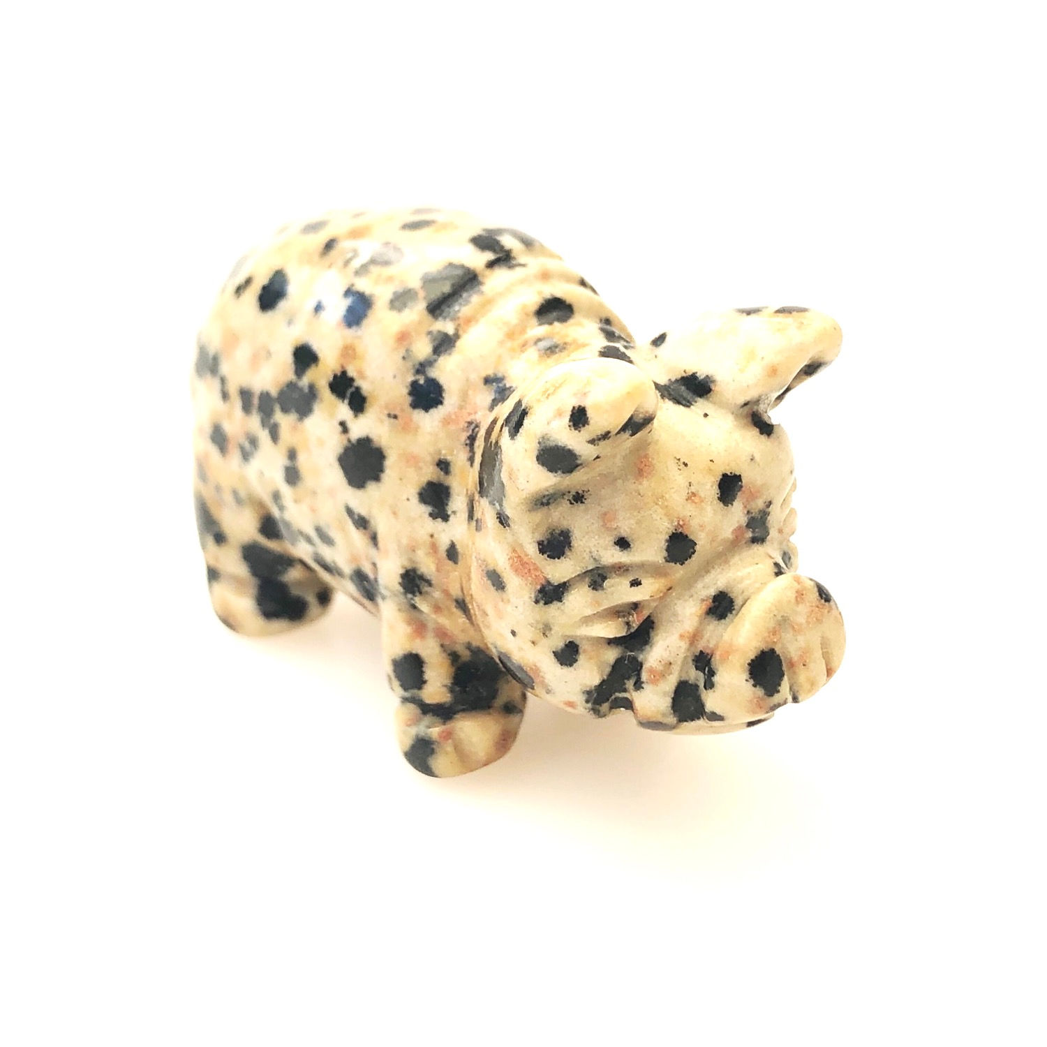 Dalmatian Jasper Piggy