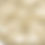 Thumbnail: Fossil Sea Urchin Scutella Stellata