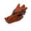 Thumbnail: Red Jasper Dragon Skull