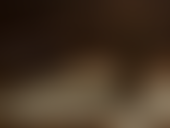 TRF2 extingue execução fiscal de R$ 1 milhão com fundamento em prescrição intercorrente