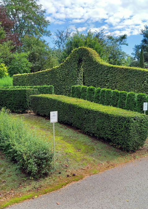 Unsere Musterhecken erleichtern die Wahl Ihrer passenden Hecke
