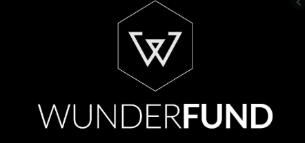 Wunderfund - Middle-Senior ML/DS Researchers