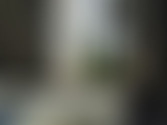 Entre o Real e a Fantasia: uma bela surpresa nos encontra