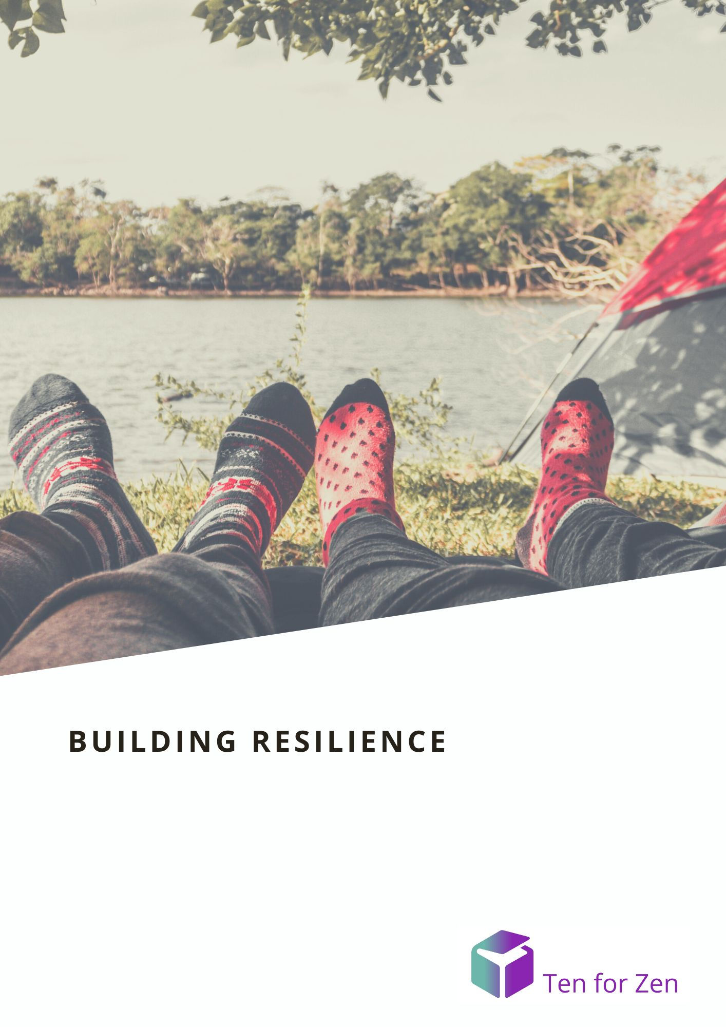 Building Resilience (e-book & audio meditation) - price per user