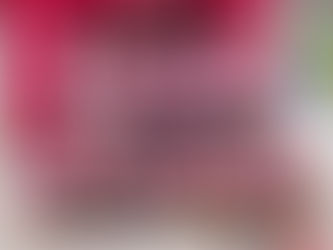 12U NFL Flag Sarnia Team Shines Bright at the Canadian Regional Tournament!