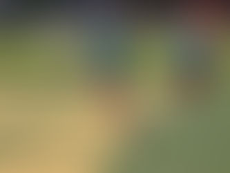 Prioritizing Athlete Safety: Bluewater Flag Football Cancels Labour Day Festivities Due to Heat