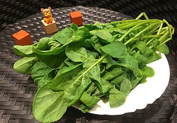 芝麻菜 (火箭菜)