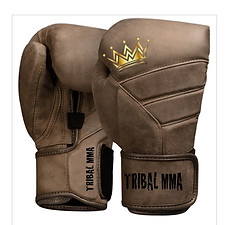 Signature 16oz Gloves
