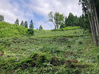 IMG_6107.JPG