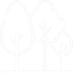 trees_edited_edited.png