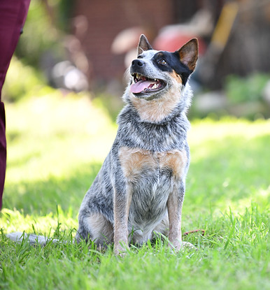 DSC_1465.jpg