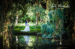 weddingpictures