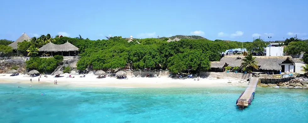 Playa Kalki (Alice in Wonderland)