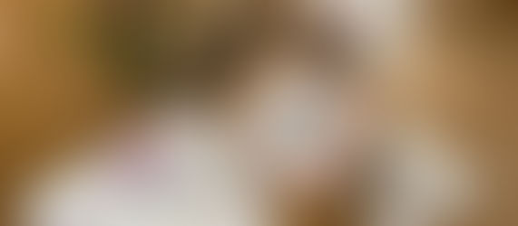 השער הירוק (והטבה, כה שווה!)