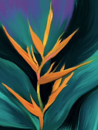 Screenshot 2022-12-02 at 12.31.06.png