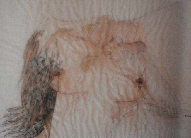 Foto_2023-01-14_174648 (5)_edited.jpg