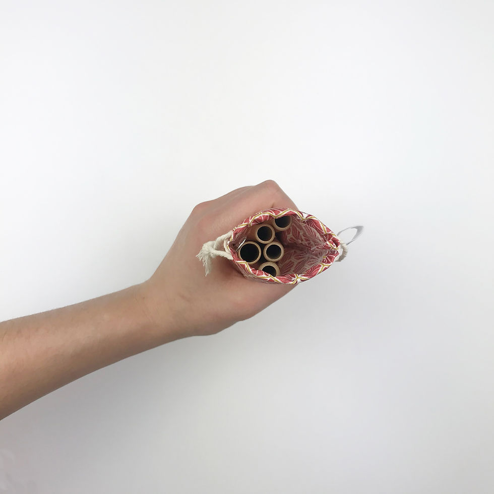 Miniature : Pailles en bambou