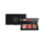Shimmering Pink and Bronze Pro Blush Palette