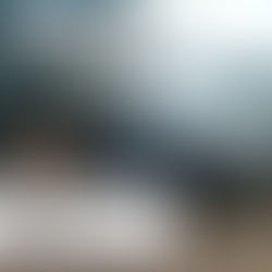 Vivemos sob um governo que promove a violência