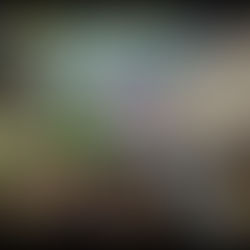 Protestos contra as tarifas impostas por Trump ganham as ruas em todo país